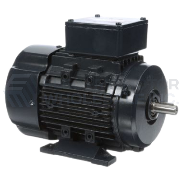 Image for 3/4HP LEESON 1690RPM D80 TEFC IP55 3PH B3 IEC MOTOR 192041.00